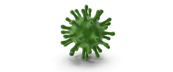 The Electrocardiogram in the Differential Diagnosis of Cardiologic Conditions Related to the COVID-19 Pandemic